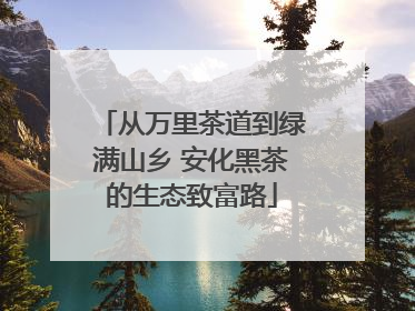 从万里茶道到绿满山乡 安化黑茶的生态致富路