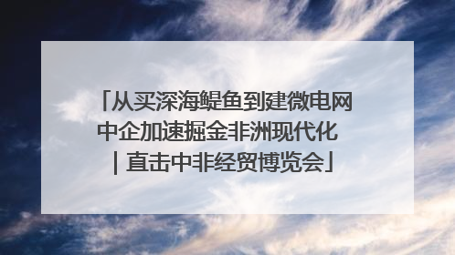 从买深海鳀鱼到建微电网 中企加速掘金非洲现代化｜直击中非经贸博览会
