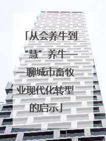 从会养牛到“慧”养牛——聊城市畜牧业现代化转型的启示