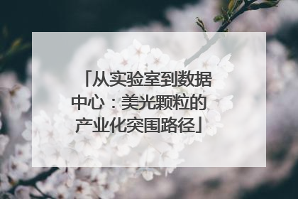 从实验室到数据中心：美光颗粒的产业化突围路径