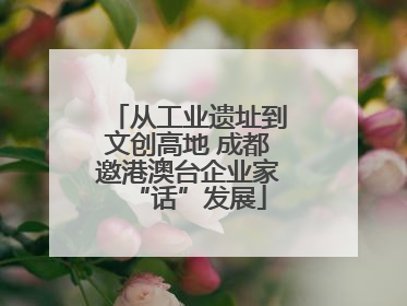 从工业遗址到文创高地 成都邀港澳台企业家“话”发展
