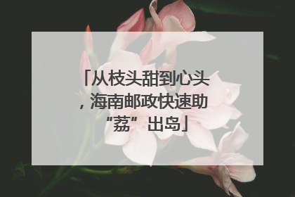 从枝头甜到心头，海南邮政快速助“荔”出岛