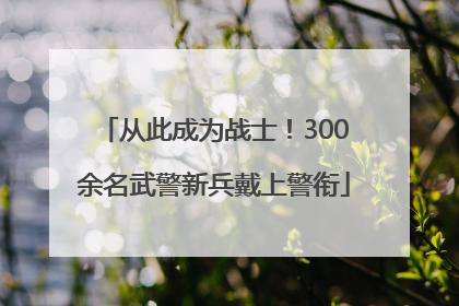 从此成为战士！300余名武警新兵戴上警衔