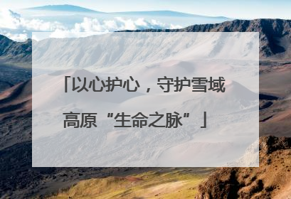 以心护心，守护雪域高原“生命之脉”