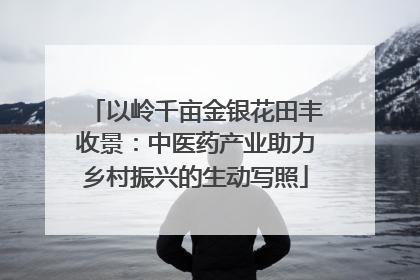 以岭千亩金银花田丰收景：中医药产业助力乡村振兴的生动写照