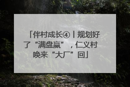 伴村成长④丨规划好了“满盘赢”，仁义村唤来“大厂”回