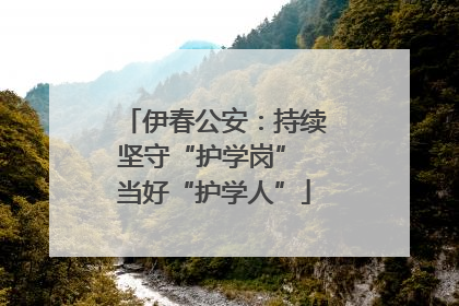 伊春公安：持续坚守“护学岗” 当好“护学人”