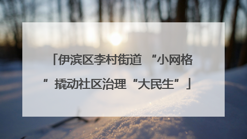 伊滨区李村街道 “小网格”撬动社区治理“大民生”