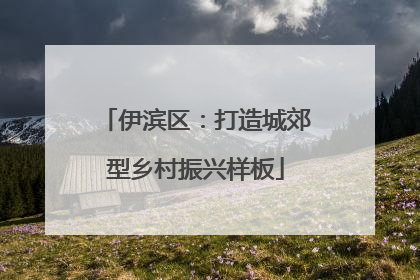 伊滨区：打造城郊型乡村振兴样板