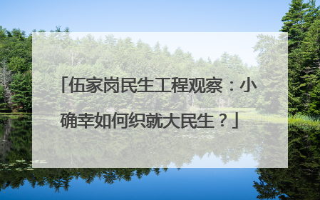 伍家岗民生工程观察：小确幸如何织就大民生？