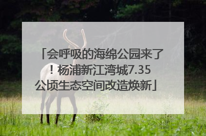 会呼吸的海绵公园来了！杨浦新江湾城7.35公顷生态空间改造焕新