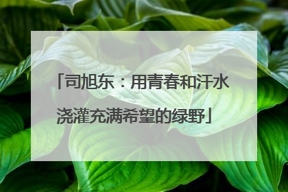 司旭东：用青春和汗水浇灌充满希望的绿野