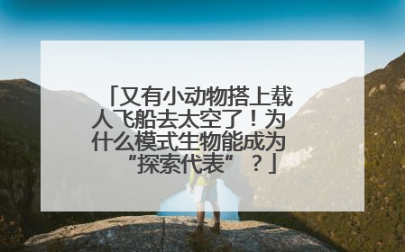 又有小动物搭上载人飞船去太空了！为什么模式生物能成为“探索代表”？