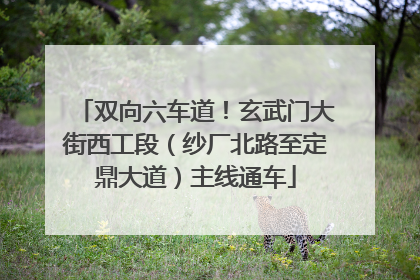 双向六车道！玄武门大街西工段（纱厂北路至定鼎大道）主线通车