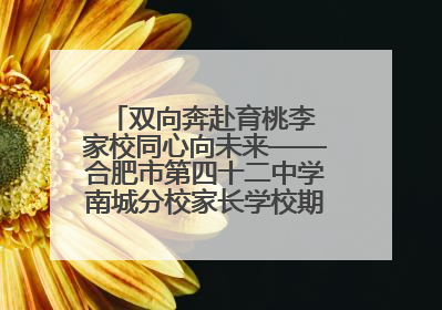 双向奔赴育桃李 家校同心向未来——合肥市第四十二中学南城分校家长学校期末总结会圆满召开