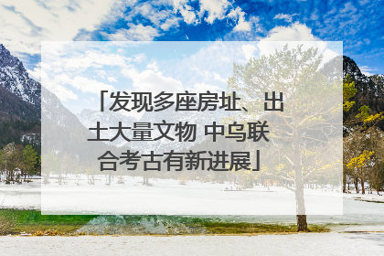 发现多座房址、出土大量文物 中乌联合考古有新进展