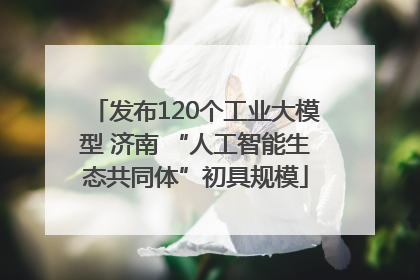 发布120个工业大模型 济南 “人工智能生态共同体”初具规模