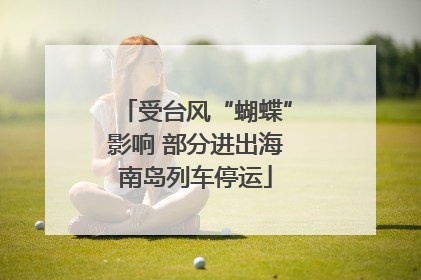 受台风“蝴蝶”影响 部分进出海南岛列车停运