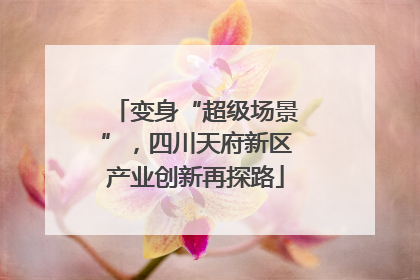 变身“超级场景”，四川天府新区产业创新再探路