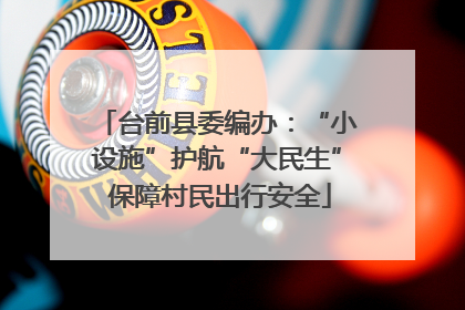 台前县委编办：“小设施”护航“大民生” 保障村民出行安全