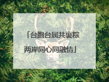 台胞台属共裹粽 两岸同心同融情