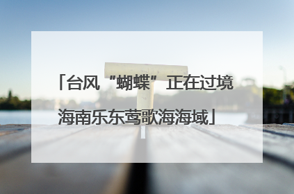 台风“蝴蝶”正在过境海南乐东莺歌海海域