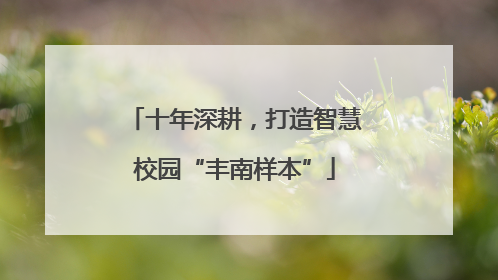 十年深耕，打造智慧校园“丰南样本”