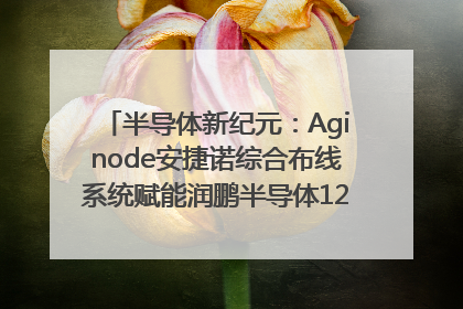 半导体新纪元：Aginode安捷诺综合布线系统赋能润鹏半导体12英寸集成电路生产线，携手共筑“芯”未来！