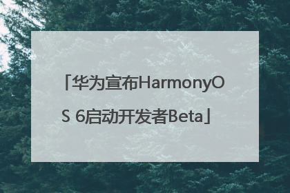 华为宣布HarmonyOS 6启动开发者Beta