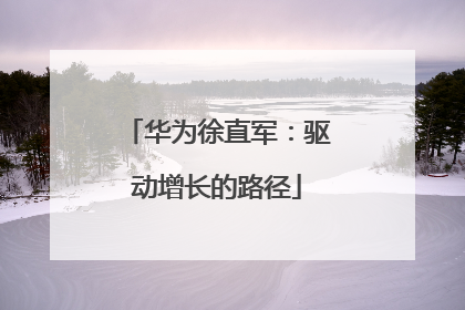 华为徐直军：驱动增长的路径