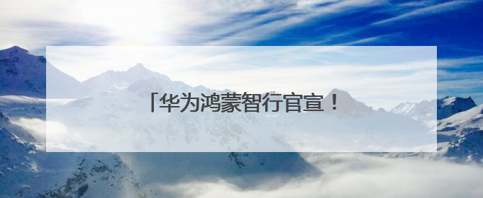 华为鸿蒙智行官宣！智界全系补贴2万元