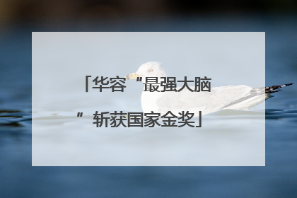 华容“最强大脑”斩获国家金奖
