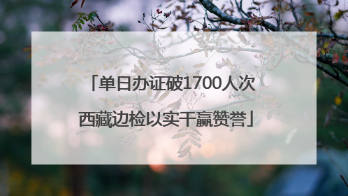 单日办证破1700人次 西藏边检以实干赢赞誉