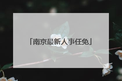 南京最新人事任免