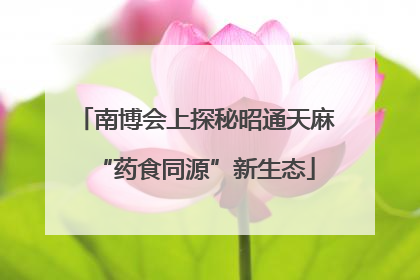 南博会上探秘昭通天麻“药食同源”新生态
