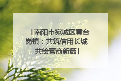 南阳市宛城区黄台岗镇：共筑信用长城 共绘营商新篇