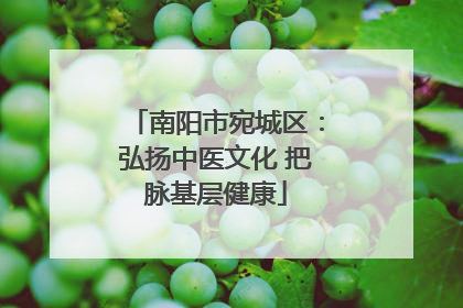 南阳市宛城区：弘扬中医文化 把脉基层健康