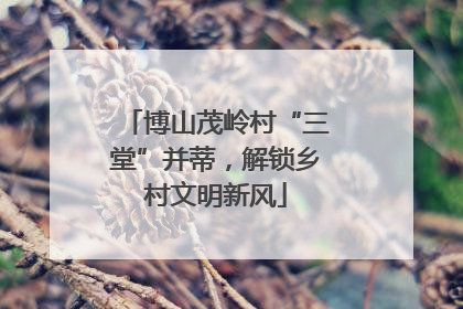 博山茂岭村“三堂”并蒂，解锁乡村文明新风