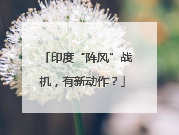 印度“阵风”战机，有新动作？