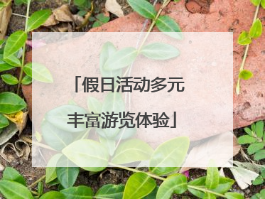 假日活动多元 丰富游览体验