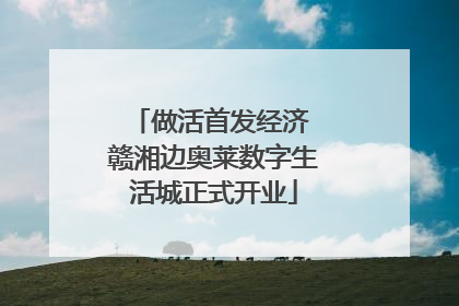 做活首发经济 赣湘边奥莱数字生活城正式开业