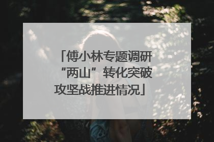 傅小林专题调研“两山”转化突破攻坚战推进情况