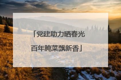 党建助力晒春光 百年腌菜飘新香