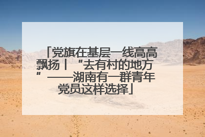 党旗在基层一线高高飘扬丨“去有村的地方”——湖南有一群青年党员这样选择