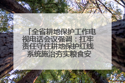 全省耕地保护工作电视电话会议强调：扛牢责任守住耕地保护红线 系统施治夯实粮食安全根基 王宁作出批示 王予波出席并讲话