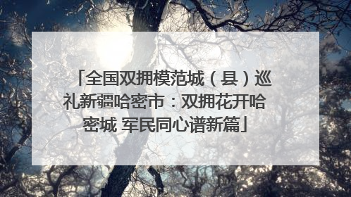 全国双拥模范城（县）巡礼新疆哈密市：双拥花开哈密城 军民同心谱新篇