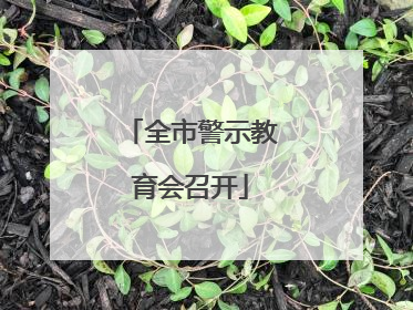 全市警示教育会召开