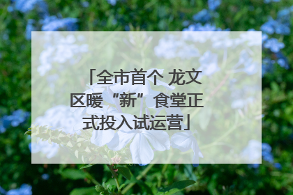 全市首个 龙文区暖“新”食堂正式投入试运营
