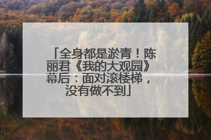 全身都是淤青！陈丽君《我的大观园》幕后：面对滚楼梯，没有做不到