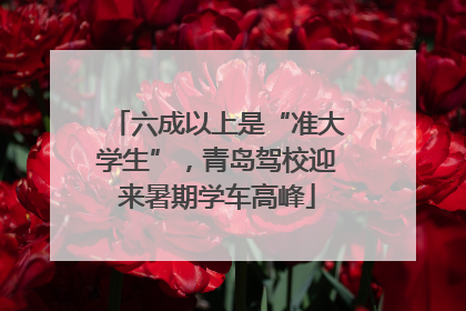 六成以上是“准大学生”，青岛驾校迎来暑期学车高峰